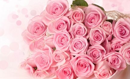 粉色玫瑰花颜色代表的含义[粉色玫瑰花代表什么意义和象征]
